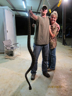 Rattlesnake480x640.jpg